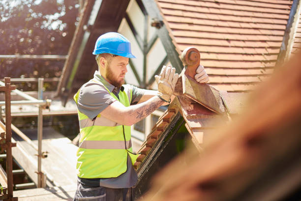 Best Storm Damage Roof Repair  in Pelham, GA